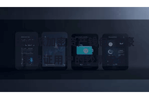 比特派加密资产钱包 也豪爽保证用户的钞票安全