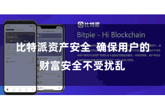 比特派资产安全 确保用户的财富安全不受扰乱