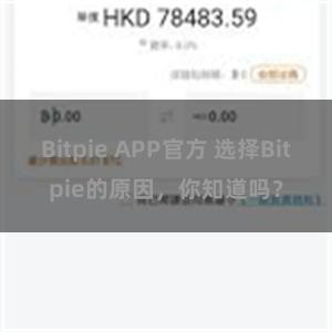 Bitpie APP官方 选择Bitpie的原因，你知道吗？