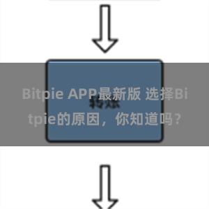 Bitpie APP最新版 选择Bitpie的原因，你知道吗？