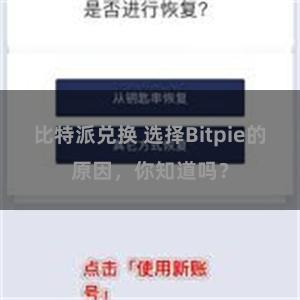 比特派兑换 选择Bitpie的原因，你知道吗？