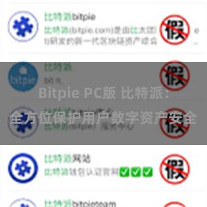 Bitpie PC版 比特派：全方位保护用户数字资产安全