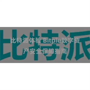 比特派体验 Bitpie数字资产安全保障指南