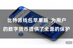 比特派钱包苹果版  为用户的数字货币提供了全面的保护
